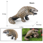 Oenux Wild Animals Simulation AArdvark Anteater Armadillo Pangolin Ant Natural Enemy Figurines PVC Model Collection Kid Toy Gift
