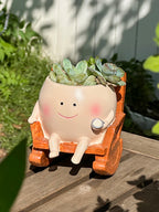 Smiling Face Swing Flower Pot for Succulents & Small Plants