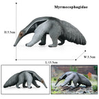 Oenux Wild Animals Simulation AArdvark Anteater Armadillo Pangolin Ant Natural Enemy Figurines PVC Model Collection Kid Toy Gift