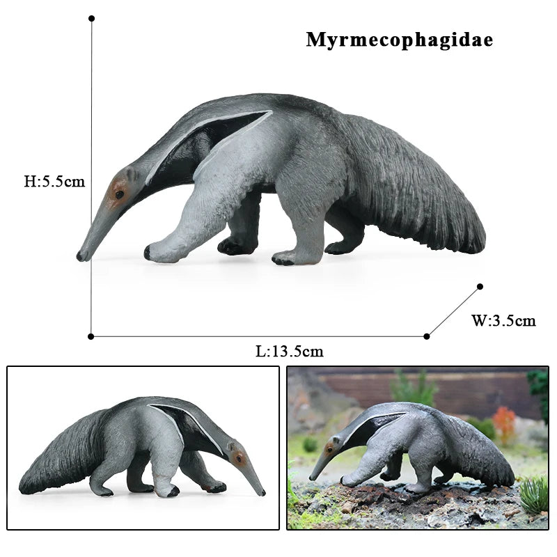 Oenux Wild Animals Simulation AArdvark Anteater Armadillo Pangolin Ant Natural Enemy Figurines PVC Model Collection Kid Toy Gift