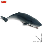 Oenux Ocean Animals Action Figures Sealife Shark Whare Megalodon Model Figurines PVC Home Decoration Kid Cognitive Education Toy
