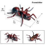 Oenux Wild Animals Simulation AArdvark Anteater Armadillo Pangolin Ant Natural Enemy Figurines PVC Model Collection Kid Toy Gift