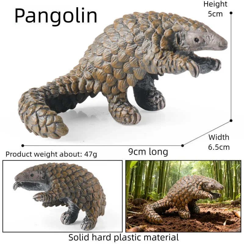 Oenux Realistic Wildlife Animal Model Beaver Badger Wolverine Anteater Pangolin Figurine  Simulation Cognitive Educational Displ