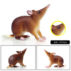 Oenux Wild Animals Simulation Rodent Marmot Mouse Model Squirrel Rat Chinchilla Action Figure Figurine Collection Cute Kid Toy