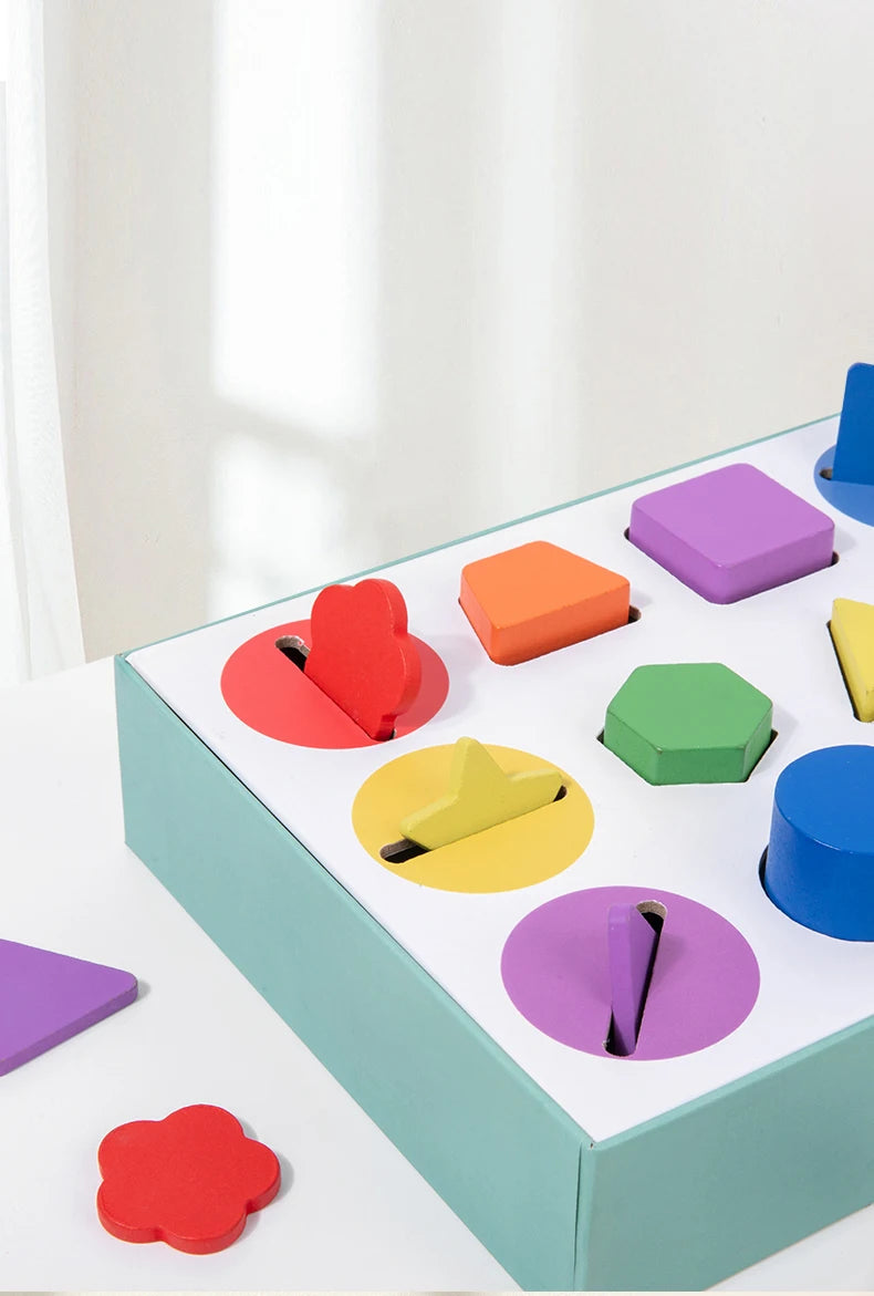 Wooden Geometric Solids Sorting Toy for Kids
