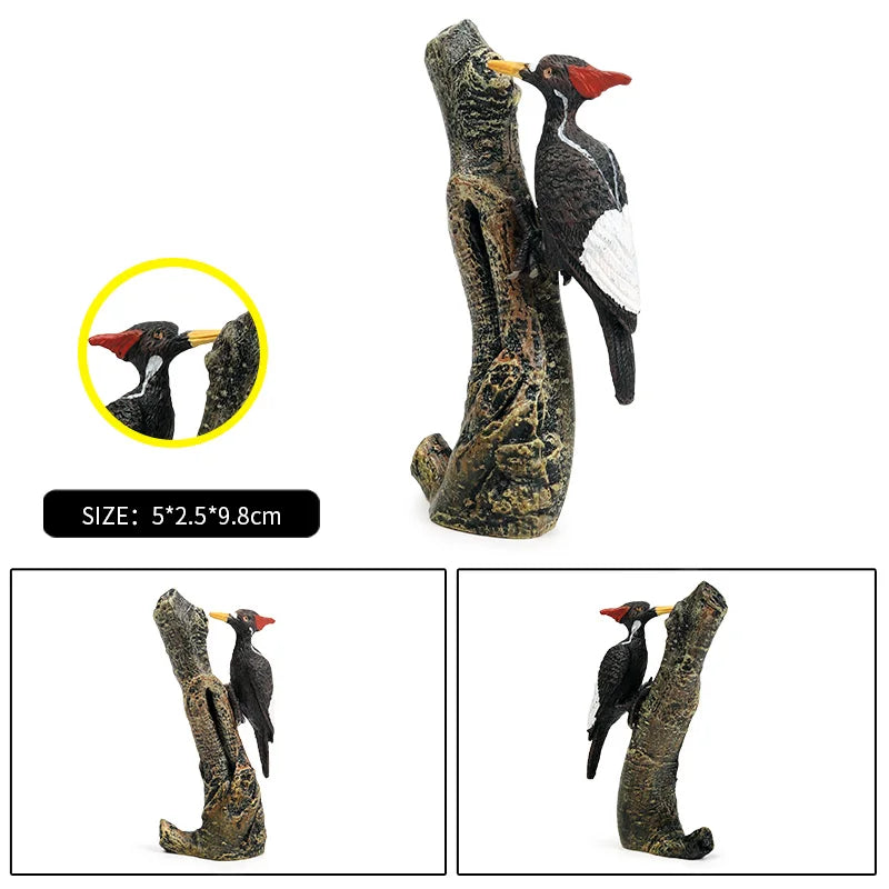 Oenux Garden Bird Figurines Snowy Owl Toucan Bucerotidae Animals Model PVC Action Figures Collection Toys For Kids Birthday Gift