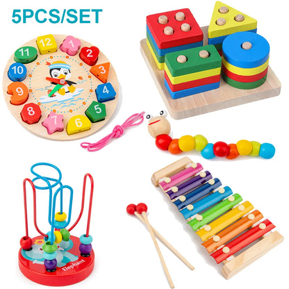 Montessori Wooden Toys Set for Babies Educational Learning Puzzle Toy