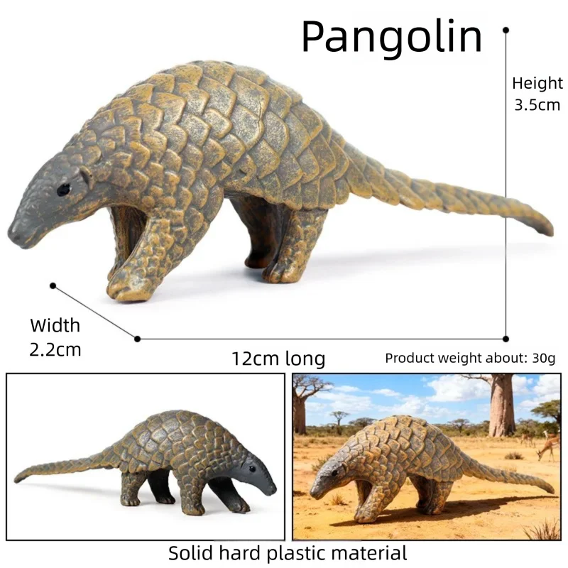 Oenux Realistic Wildlife Animal Model Beaver Badger Wolverine Anteater Pangolin Figurine  Simulation Cognitive Educational Displ