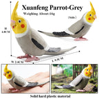 Oenux Garden Bird Figurines Snowy Owl Toucan Bucerotidae Animals Model PVC Action Figures Collection Toys For Kids Birthday Gift