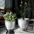 Self Watering Flowerpot Automatic Water Absorbing Flowerpot Transparent Double Layer Plastic Succulent Plant Pot Decorative Pot