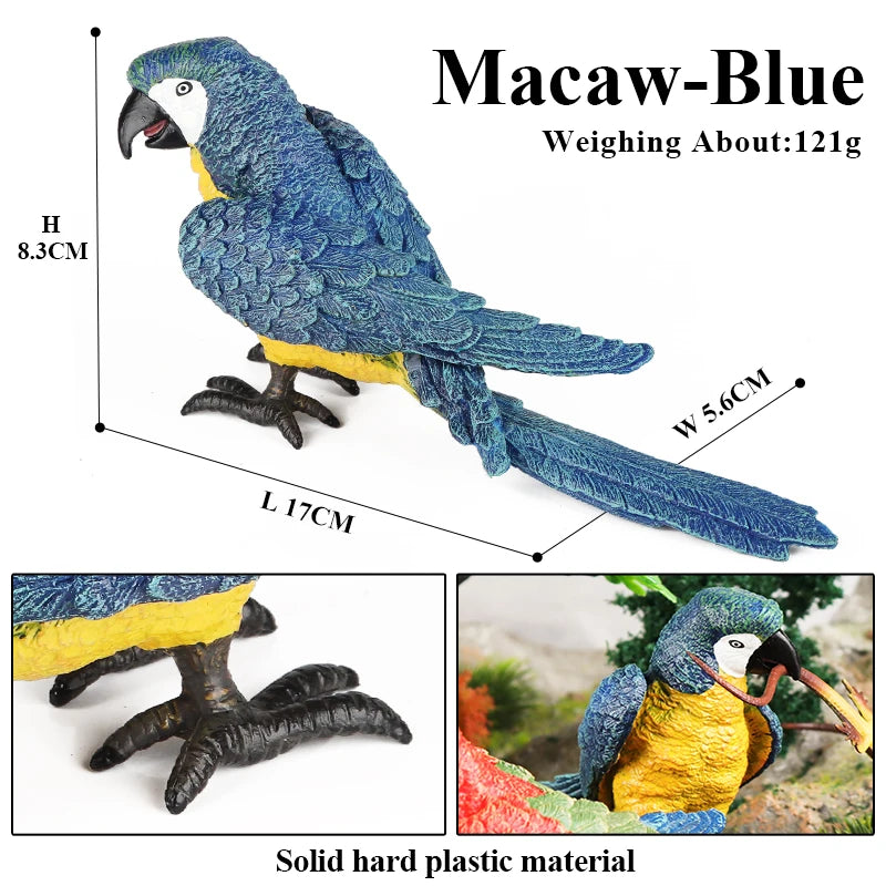 Oenux Bird Forest Animal Parrot Macaw Cockatiel Cockatoo Agapornis Puffin Model Solid PVC Garden Decoration Education Kids Toy