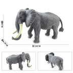 Oenux Original African Wild Animals Simulation Savage Bengal Tiger Siberian Tiger White Tiger Lion PVC Model Educational Toys