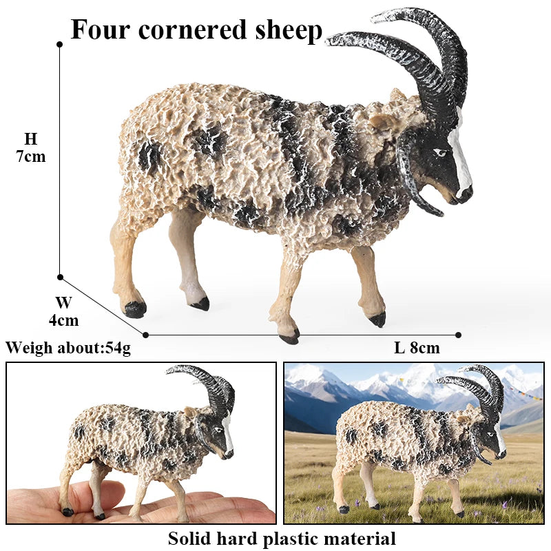 Oenux Classic Farm Animal Simulation Sheep Goat Argali Antelope Model Action Figure Poultry Figurines Cute Toy For Kid Gift