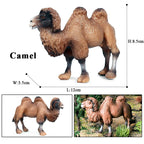 Oenux Simulation Wild Animals Toy Desert Camel Donkey Alpaca Antelope Elk Deer Model Action Figures PVC Decoration Kids Gift