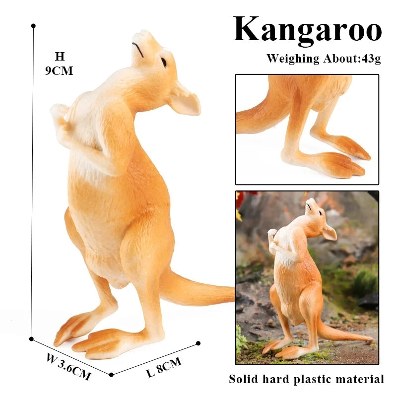 Oenux Classic Australian Wild Animals Kangaroos Koala Platypus Tasmanian Devil Echidna Cassowary Model Figurine Toy Kid Gift