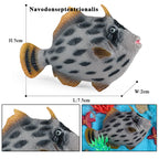 Oenux Sea Life Animals Coral Octopus Nautiloidea Crab Starfish Ocean Model Action Figures Educational Collection Toy Kid Gift