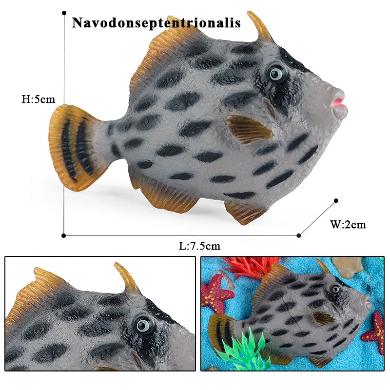 Oenux Sea Life Animals Coral Octopus Nautiloidea Crab Starfish Ocean Model Action Figures Educational Collection Toy Kid Gift