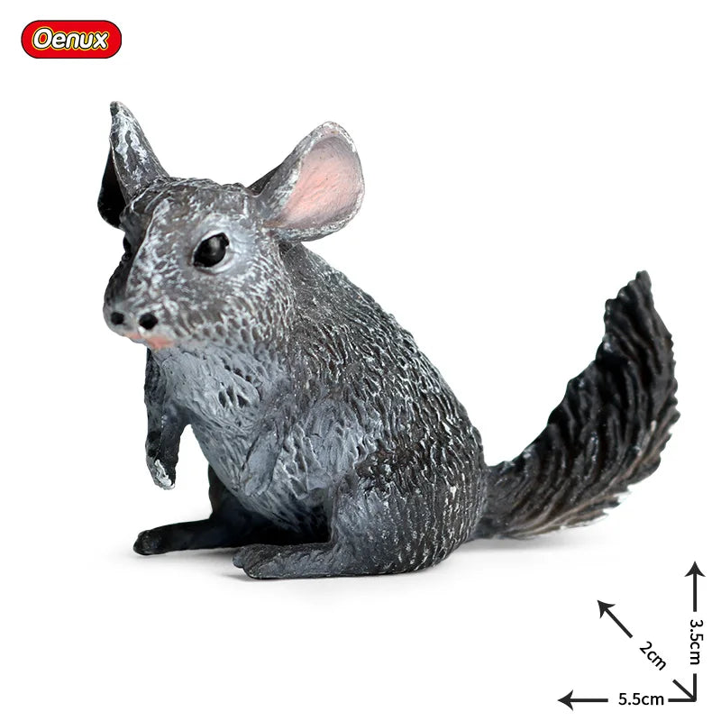 Oenux Classic Australian Wild Animals Kangaroos Koala Platypus Tasmanian Devil Echidna Cassowary Model Figurine Toy Kid Gift
