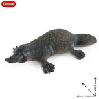 Oenux New Wild Animals Forest Orangutan Pigeon Hedgehog Aardvark Capybara Action Figure Model Figurines PVC Collection Kids Toy