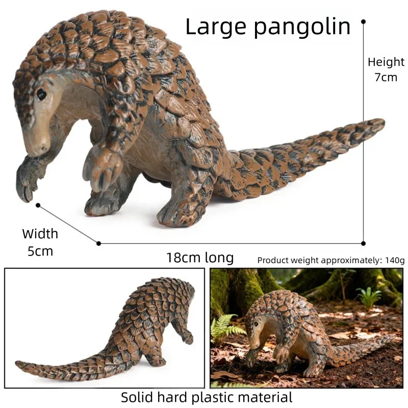 Oenux Realistic Wildlife Animal Model Beaver Badger Wolverine Anteater Pangolin Figurine  Simulation Cognitive Educational Displ