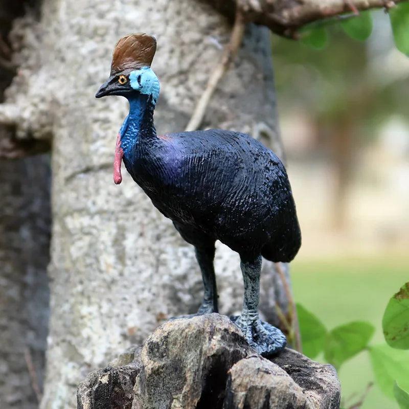 Oenux Classic Australian Wild Animals Kangaroos Koala Platypus Tasmanian Devil Echidna Cassowary Model Figurine Toy Kid Gift