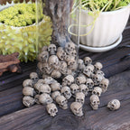 20 PCS Creative Miniature Skull, Cool Miniature Skull for Garden Bonsai Decoration, Resin Crafts