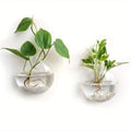 2/4/6 Pack Wall Hanging Glass Terrarium - Self-Watering Hydroponic Planter for Home Office Decor, Handmade Round Crystal Vase