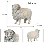 Oenux Classic Farm Animal Simulation Sheep Goat Argali Antelope Model Action Figure Poultry Figurines Cute Toy For Kid Gift