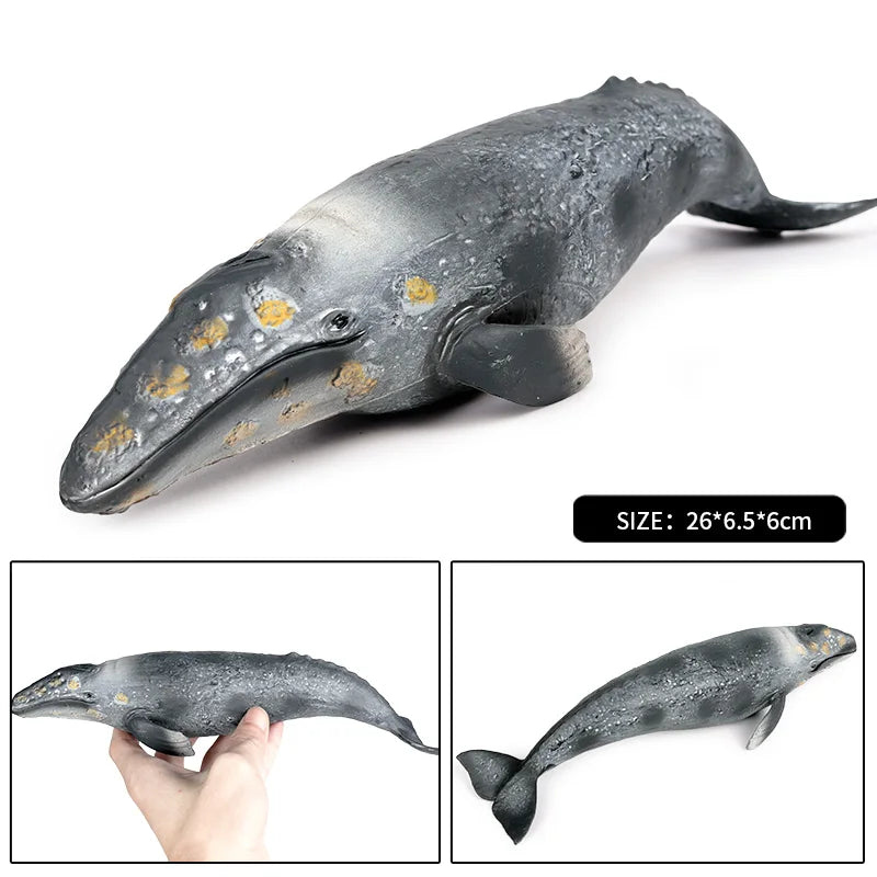 Oenux Ocean Animal Savage Megalodon Beluga Big Shark Orca Sperm Blue Whale Action Figures Sea Life Model Educational Kids Toy