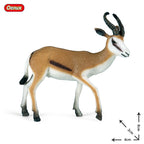 Oenux New Wild Animals Forest Orangutan Pigeon Hedgehog Aardvark Capybara Action Figure Model Figurines PVC Collection Kids Toy