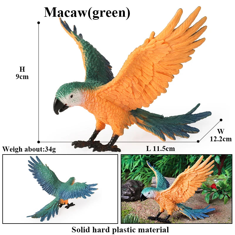 Oenux Bird Forest Animal Parrot Macaw Cockatiel Cockatoo Agapornis Puffin Model Solid PVC Garden Decoration Education Kids Toy