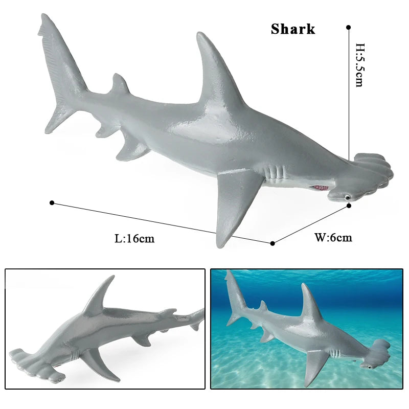 Oenux Ocean Life Animals Whale Dolphin Basking Shark Narwhal Tropical Fish Model Action Figures PVC Education Toy Kids Gift