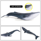 Oenux Ocean Animal Savage Megalodon Beluga Big Shark Orca Sperm Blue Whale Action Figures Sea Life Model Educational Kids Toy