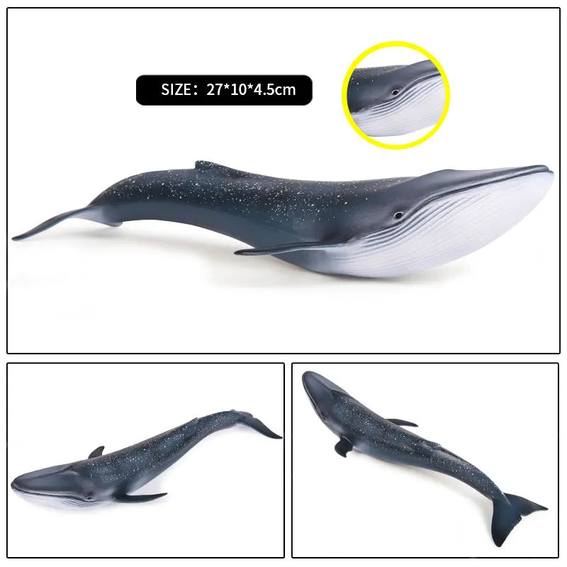 Oenux Ocean Animal Savage Megalodon Beluga Big Shark Orca Sperm Blue Whale Action Figures Sea Life Model Educational Kids Toy