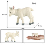 Oenux Classic Farm Animal Simulation Sheep Goat Argali Antelope Model Action Figure Poultry Figurines Cute Toy For Kid Gift