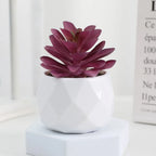 Artificial Succulent Bonsai Plants Simulation Succulents Mini Evergreen Bonsai Cactus Succulent Plastic Fake Plants Decor