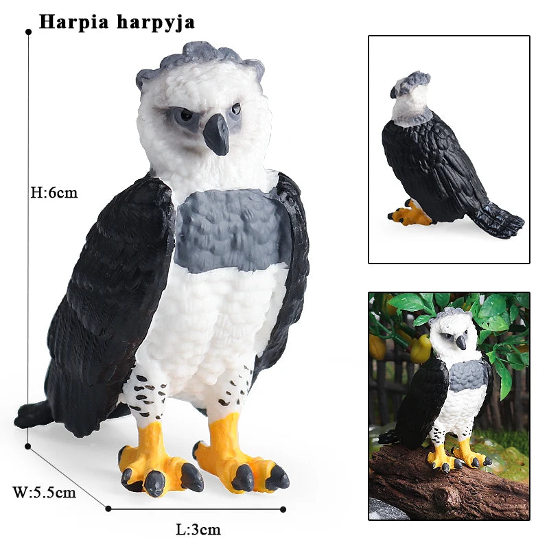 Oenux Wild Bird Animals Forest Night Eagle Condor Figurines PVC Action Figure Garden Decoration Education Miniature Toy Kid Gift