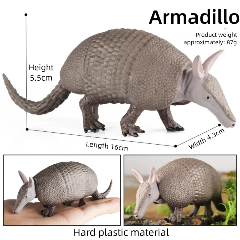 Oenux Realistic Wildlife Animal Model Beaver Badger Wolverine Anteater Pangolin Figurine  Simulation Cognitive Educational Displ