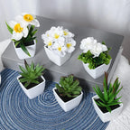 6PCS, Artificial Plants Small Bonsai, DIY Crafts desktop Windowsill Display Rack Display Decoration
