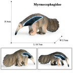 Oenux Wild Animals Simulation AArdvark Anteater Armadillo Pangolin Ant Natural Enemy Figurines PVC Model Collection Kid Toy Gift