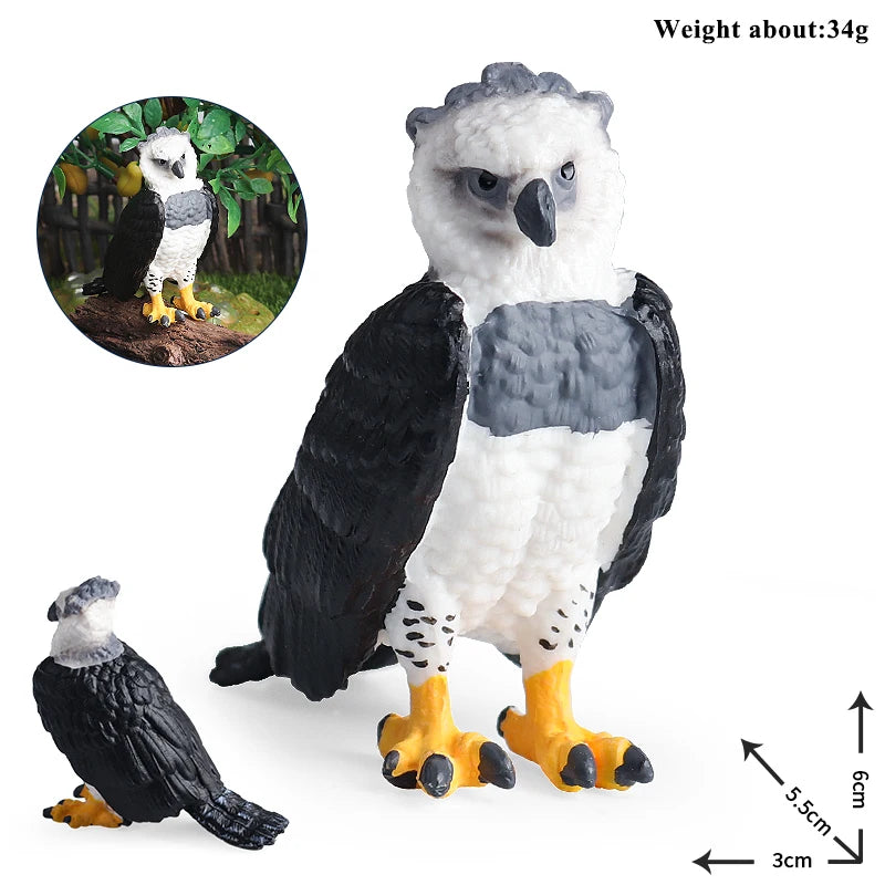 Oenux Wild Bird Animals Forest Night Eagle Condor Figurines PVC Action Figure Garden Decoration Education Miniature Toy Kid Gift