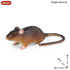 Oenux New Wild Animals Forest Orangutan Pigeon Hedgehog Aardvark Capybara Action Figure Model Figurines PVC Collection Kids Toy