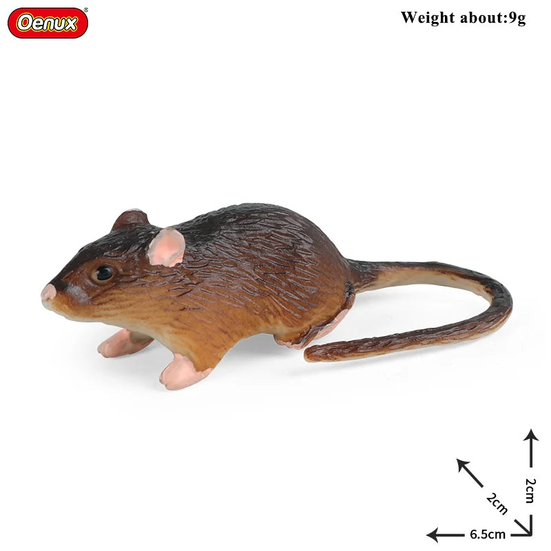 Oenux New Wild Animals Forest Orangutan Pigeon Hedgehog Aardvark Capybara Action Figure Model Figurines PVC Collection Kids Toy