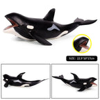Oenux Ocean Animal Savage Megalodon Beluga Big Shark Orca Sperm Blue Whale Action Figures Sea Life Model Educational Kids Toy