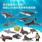 12pcs/set Plastic Simulated Sea Life Toy Model Realistic Marine Animals Whale Shark Dolphin Turtle Toys For Christmas Gifts