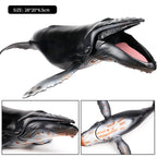 Oenux Ocean Animal Savage Megalodon Beluga Big Shark Orca Sperm Blue Whale Action Figures Sea Life Model Educational Kids Toy