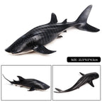 Oenux Ocean Animal Savage Megalodon Beluga Big Shark Orca Sperm Blue Whale Action Figures Sea Life Model Educational Kids Toy