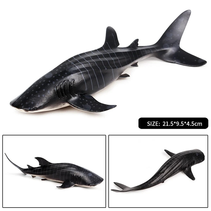 Oenux Ocean Animal Savage Megalodon Beluga Big Shark Orca Sperm Blue Whale Action Figures Sea Life Model Educational Kids Toy
