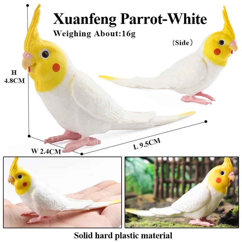 Oenux Garden Bird Figurines Snowy Owl Toucan Bucerotidae Animals Model PVC Action Figures Collection Toys For Kids Birthday Gift