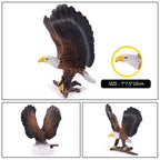 Oenux Wild Bird Animals Forest Night Eagle Condor Figurines PVC Action Figure Garden Decoration Education Miniature Toy Kid Gift